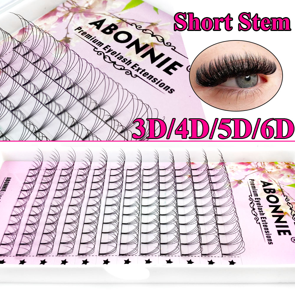 아보니 6D 내로우 팬 프리메이드 팬 러시안 볼륨 팬  - Eyelash Extension Remover At Home 리뷰 및 가격